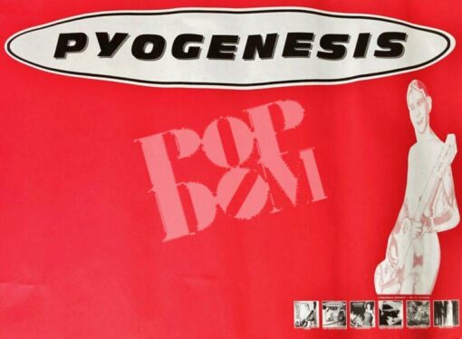 Pyogenesis Pyogenesis Konzertplakat Concert Tour Poster 1997 ⋆ Popdom